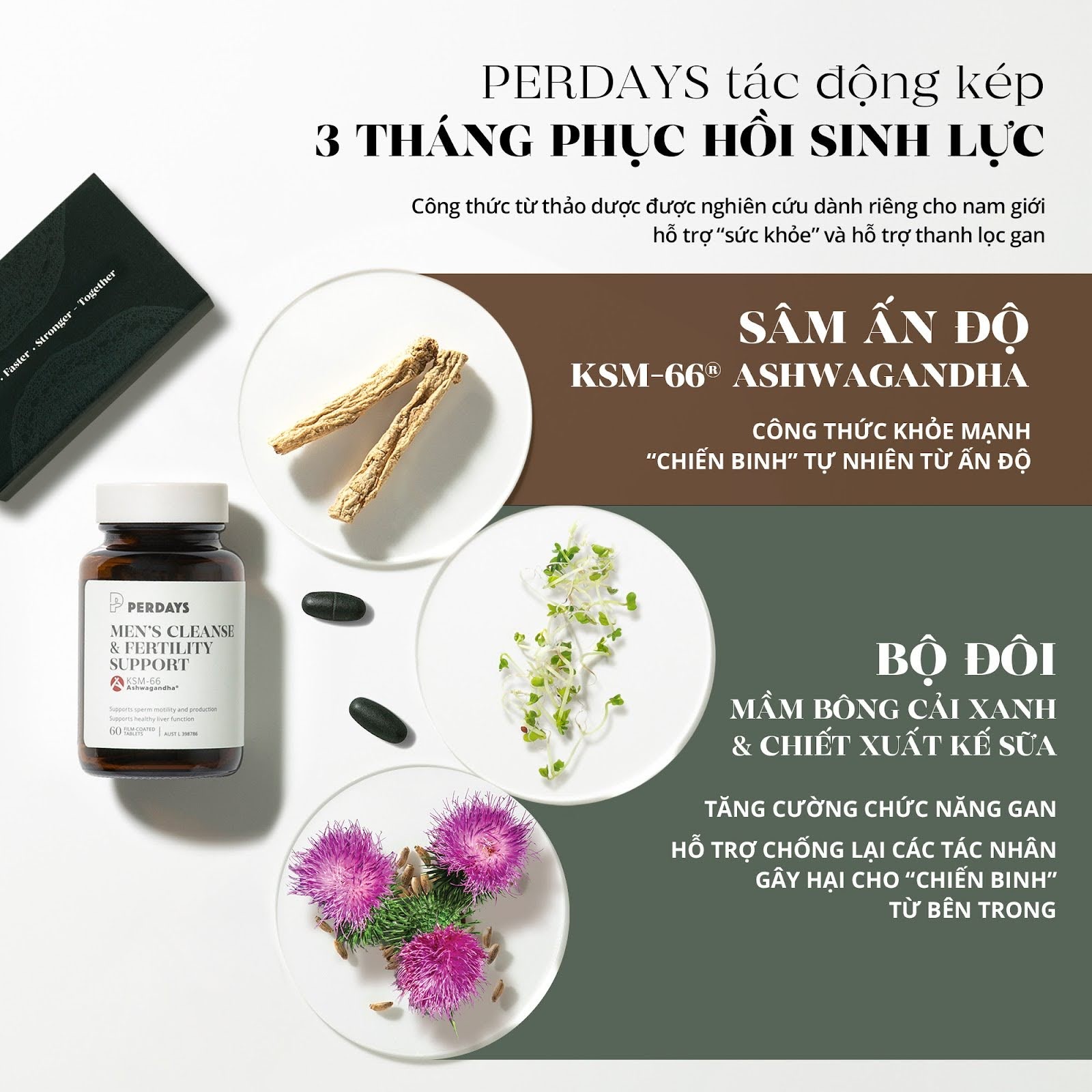 giải pháp giải độc gan bằng thảo dược