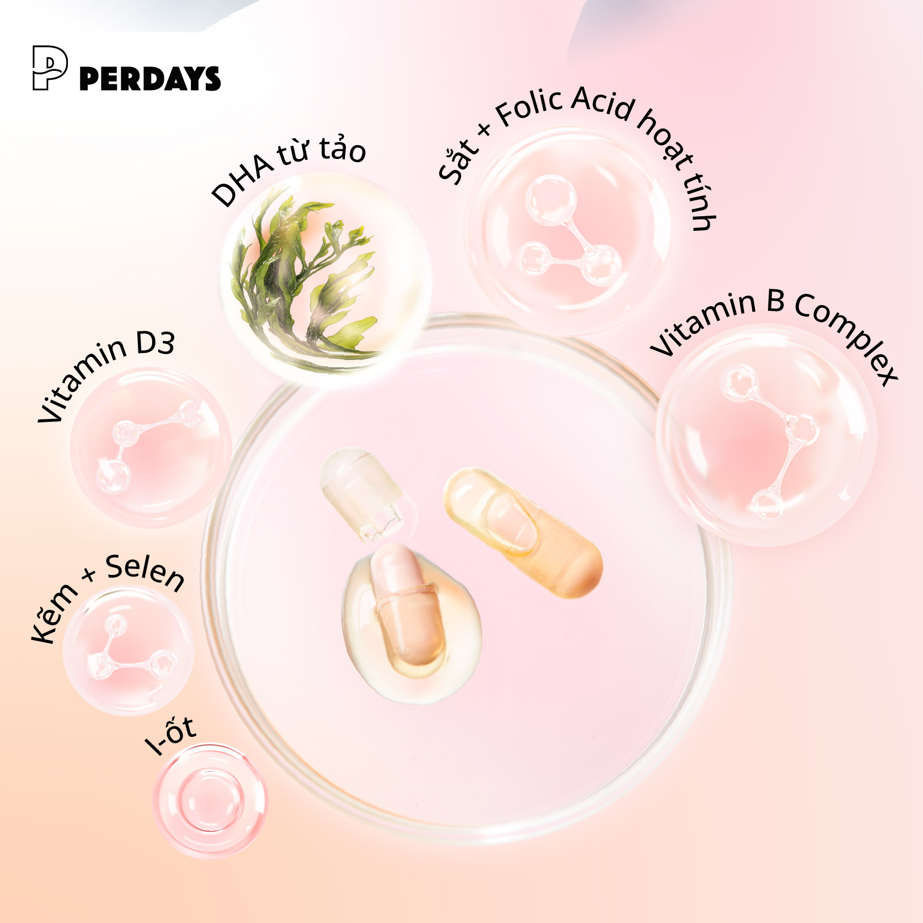 thành phần vitamin tổng hợp bầu perdays úc