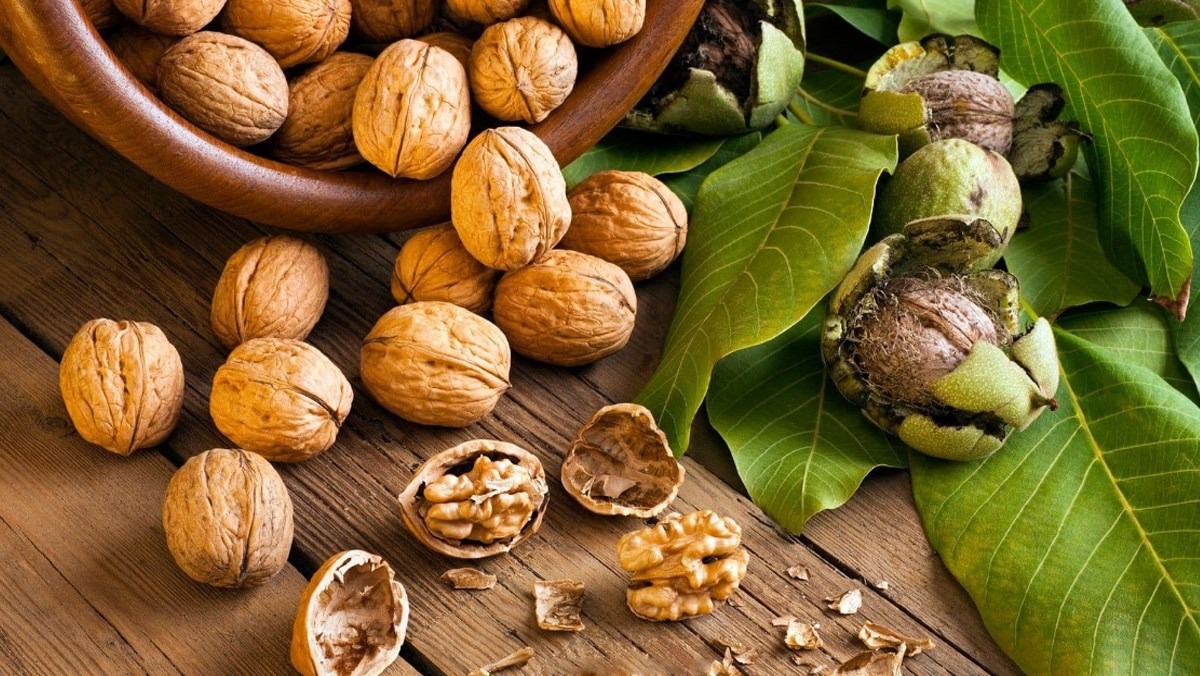 óc chó giúp tăng cường chức năng gan